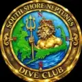 cropped ssn color 3d logo.webp